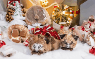 Healthy Holiday Treats for Pets: Safe and Special Options for Dogs and Cats
